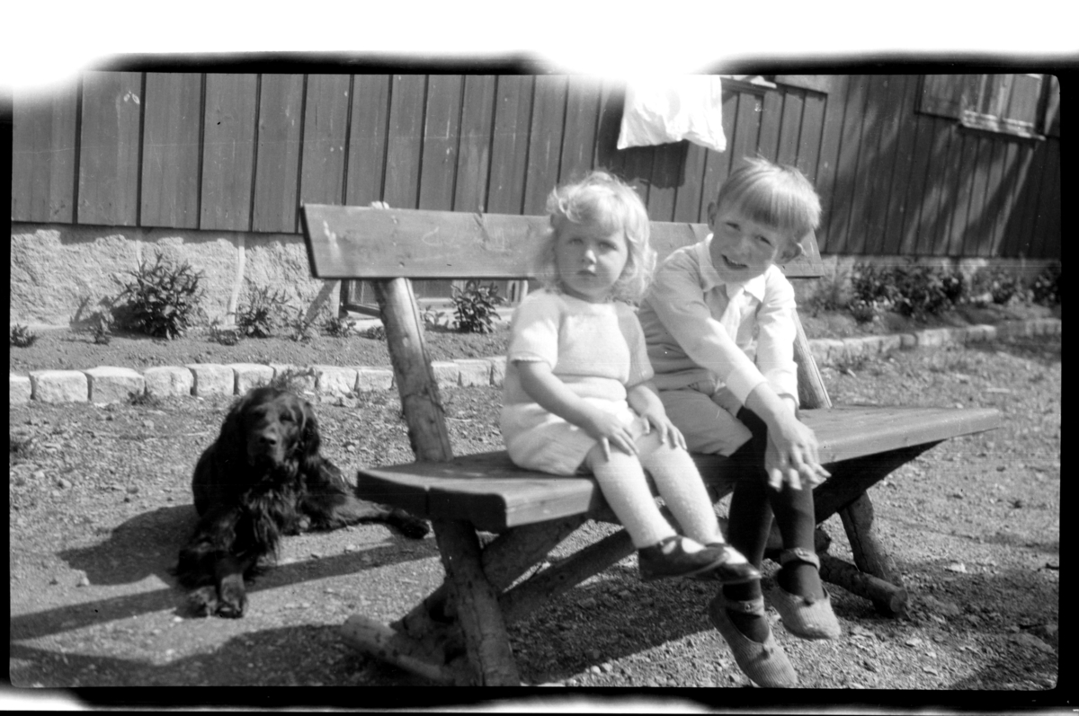 Rolf Sundt jr. (vel ett år) sitter på benken sammen med sin bror Julius, hunden Rollo ligger bak, Villa Knyggen. Fotografert 1922.