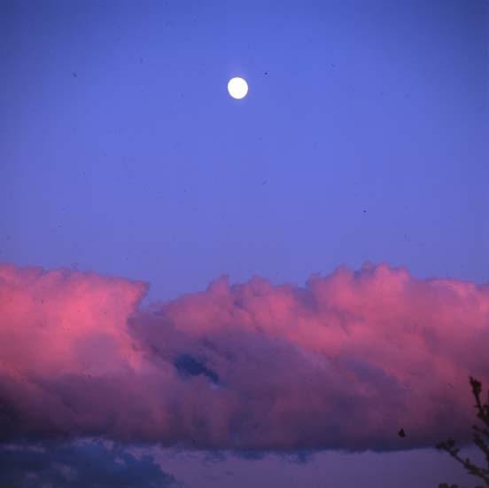Starkt rosa moln på blå himmel med fullmåne, 5/6 2001.