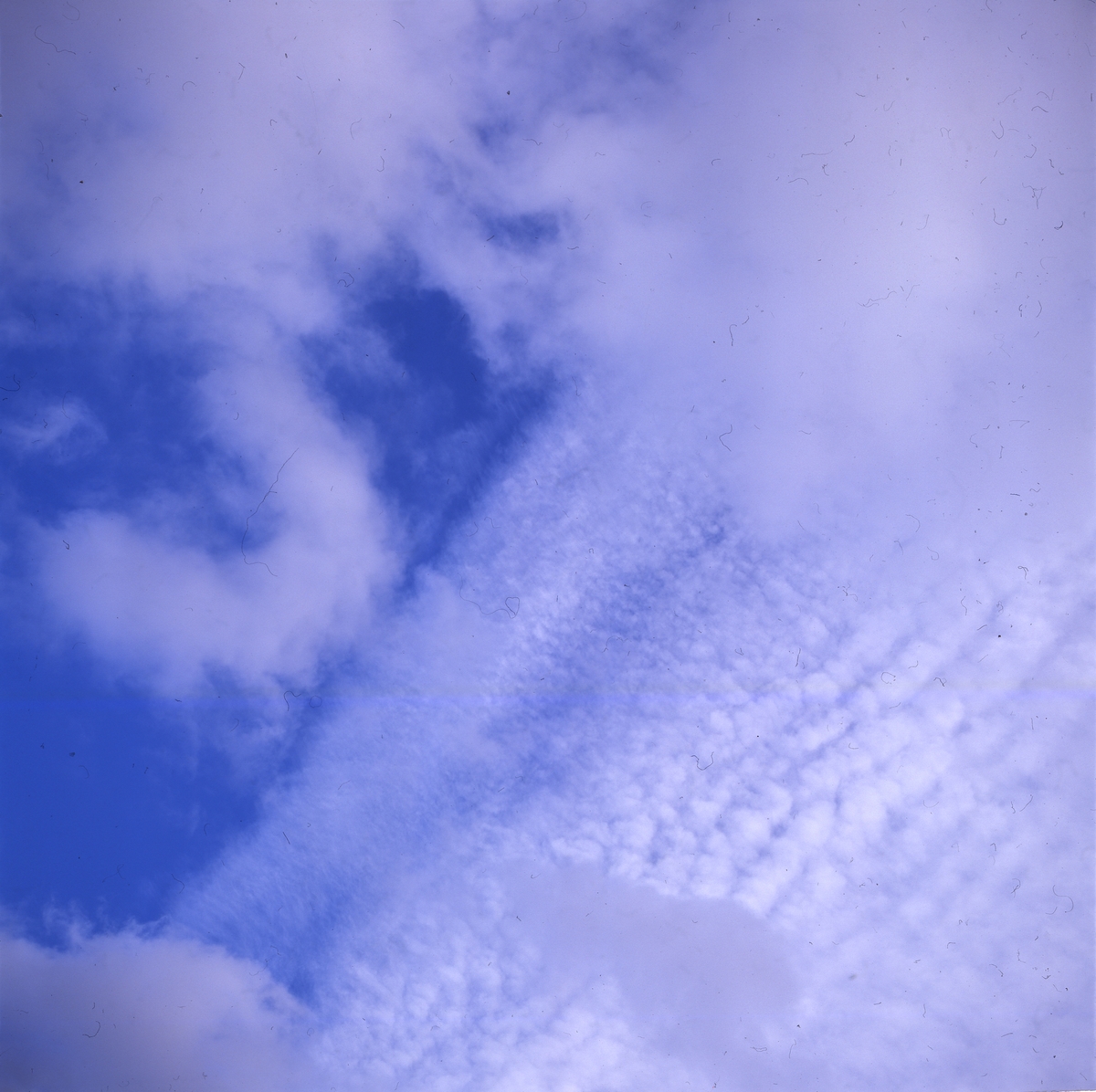 Fjädermoln mot blå himmel, oktober 1994.