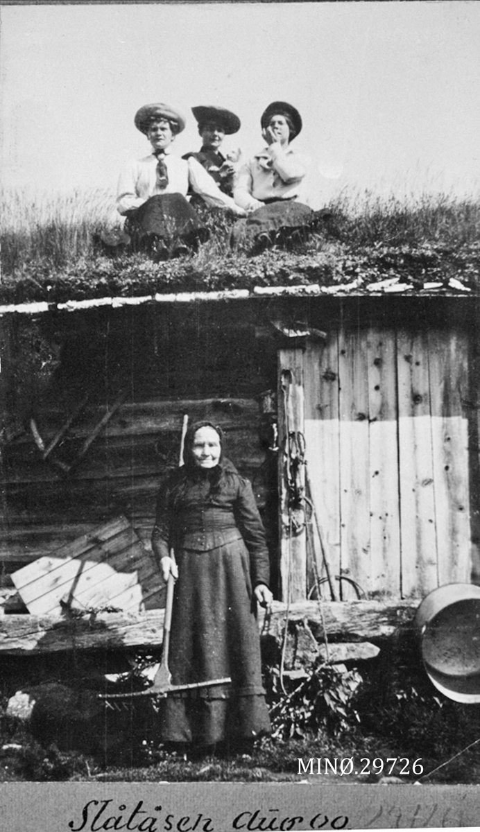 Slåtåsen august 1900.  Siri, Tela, Unni, Marit. 