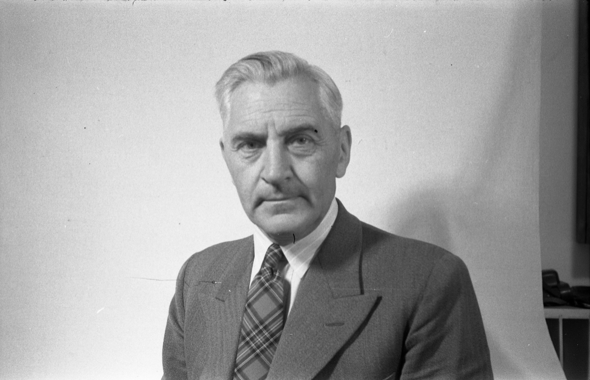 Ole D. Haug, lærer på Hovsvangen skole i Østre Toten. Portrett juli 1952.