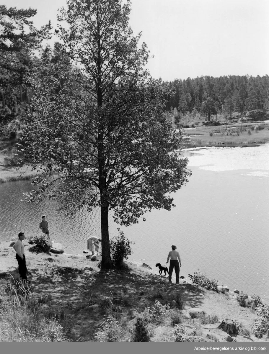 Østmarka, Ulsrudvannet. Badeliv. August 1952
