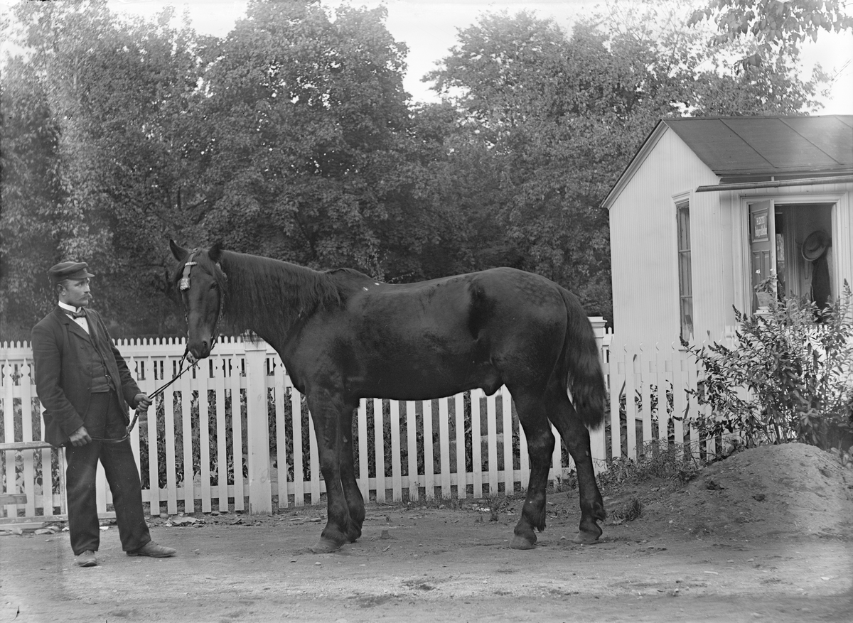 Man med häst utanför Ostis ateljé, Bredgränd 11, Uppsala före 1914