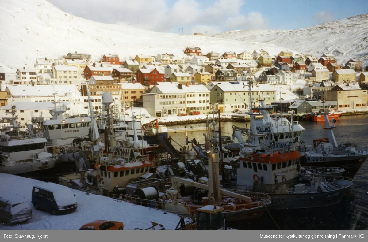 Loddesesong i Honningsvåg. I bakgrunnen deler av bebyggelsen. Bilde ble tatt fra Hurtigruta. Mars 2003.