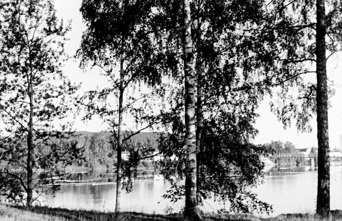 Elveparti ved Osnabben i Sør-Odal i Hedmark, der Oppstadåa og Glomma møtes.  I forgrunnen står det en del bjørketrær.  Bakenfor skimtes vannspeilet på Glomma der det fløt en del tømmerstokker.  Til høyre i bakgrunnen skimter vi ei fagverksbru av jern.  Fotografiet skal være tatt i 1956.
