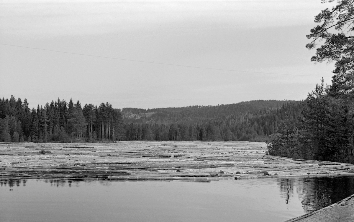 Fløtingstømmer på Nøkktjernet i Austvassåa i Nord-Odal, fotografert i 1954.   Mesteparten av vannspeilet var dekt av barket gran- og furutømmer.  Landskapet omkring tjernet var dekt av barskog.

Austvassåa eller Bergsåa kommer fra Nøklevatnet, som ligger i grensetraktene mellom Nord-Odal, Åsnes og Grue kommuner, 424 meter over havet.  Derfra renner vassdraget sørvestover i småkupert terreng og passerer flere små sjøer på sin veg mot Storsjøen.  Elva er om lag 17 meter lang, og hele strekningen gikk gjennom skogstrakter og var fløtbar.  Ved utløpene av Nøklevatnet, Søndre Gransjø, Elgsjø, Nøkktjernet og Bakkefløyta var det fløtingsdammer.  I 1954, da dette fotografiet ble tatt, var det innmeldt 90 526 tømmerstokker til fløting i dette vassdraget.