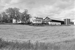 Ellingsrud gård. Oktober 1977