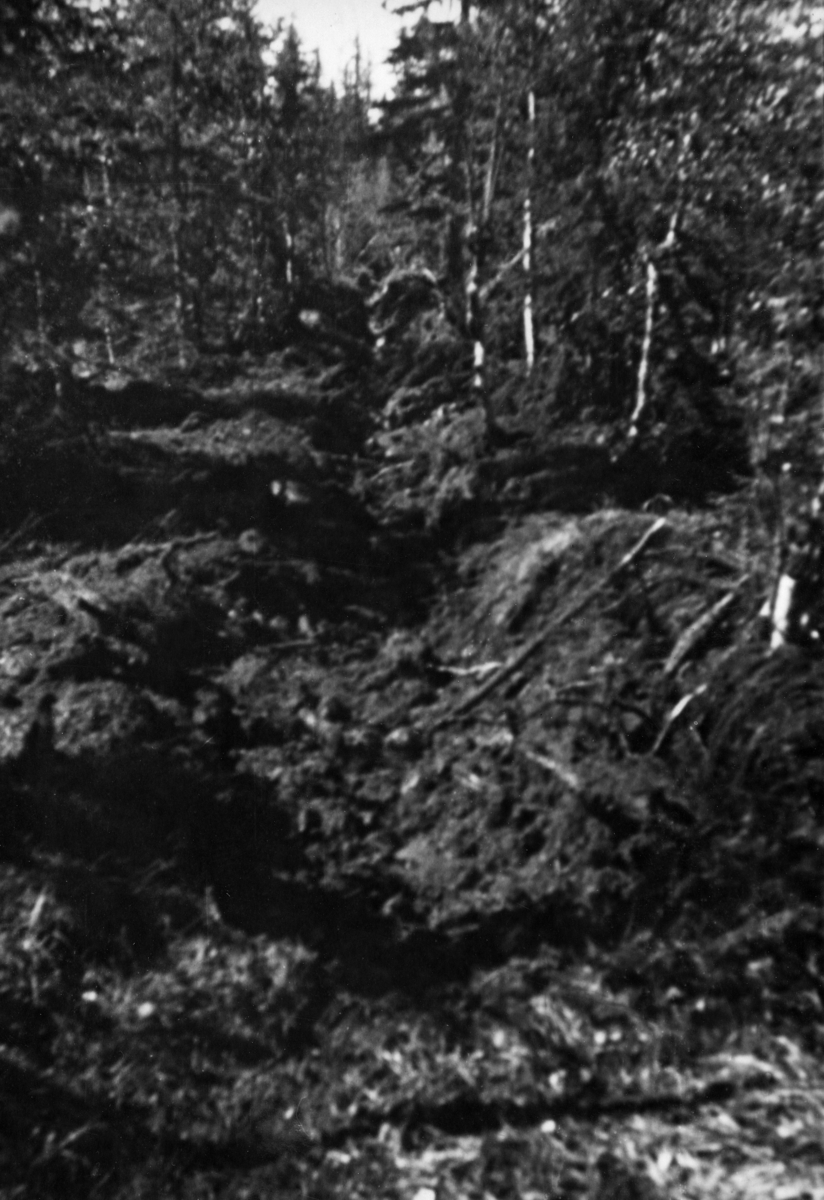 Fra grøftesprengingsprosjekt på skogeiendommen Mustad i Vardal i mai-juni 1948.  Dette fotografiet er det andre i en serie på tre bilder som viser ulike faser i arbeidet med grøfta.  Vi ser et myrlendt areal hvor det er ryddet en rettlinjet trasé i bjørke- og granskogen.  Jordmassene langs midtlinja i denne traséen er det foretatt sprenging, som har løsnet jord, stein og røtter der hvor det skulle bli grøft.  Grøftesprenging var en amerikansk metode som hadde vært prøvd i Norge i 1920-åra uten praktisk suksess.  Før krigen hadde nemlig sprengstoffet vært for kostbart til at denne metoden kunne konkurrere med manuelt arbeid.  Etter krigen kom det en ny type grøftedynamitt i form av patroner som skulle stikkes 20-25 centimeter ned i myra med en innbyrdes avstand på 30-40 centimeter langsetter grøftetraseens midtlinje.  En av patronene ble antent ved hjelp av ei meterlang lunte.  Deretter løp mannskapene unna.  Omtrent et minutt seinere smalt det.  Detoneringa av den første patronen utløste de øvrige, og en vegg av torv, busker og røtter stod til værs - og falt deretter ned på bakken igjen.  Noe falt naturligvis ned i grøftetraseen, men det tok likevel ikke mannskapene mange minuttene å renske grøfta med greip.  Dynamittpatronene var kostbare, de representerte 70-80 prosent av omkostningene, så prisen per meter ferdig grøft ble omtrent den samme ved sprenging som ved manuell grøftegraving.  Med traktorgravernes inntreden utover i 1950- og 60-åra ble metoden stadig mindre aktuell. 