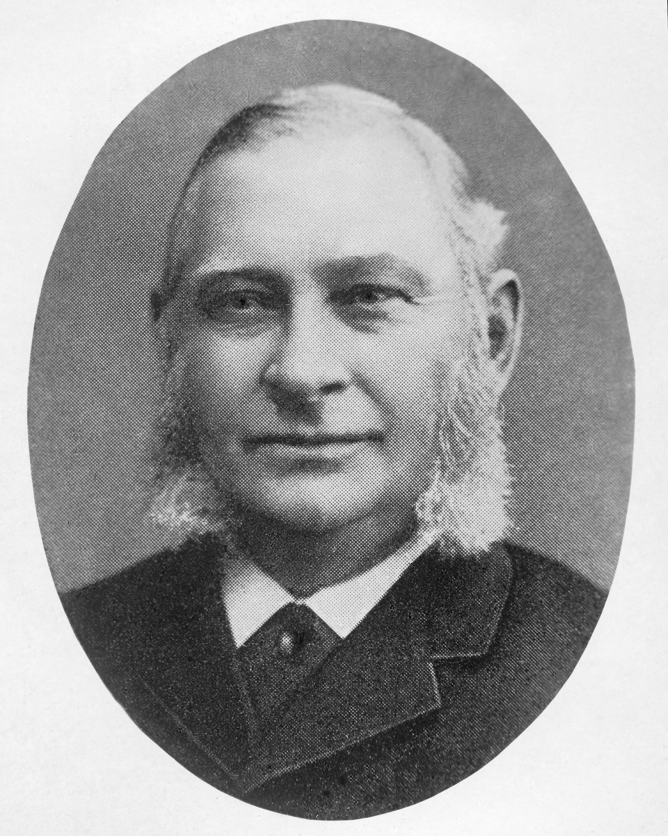 Litografisk gjengivelse av fotografisk portrett av den norske forstmannen Thorvald Mejdell (1824-1908).  Portrettet er øyensynlig klippet (ovalt) fra en rastrert trykksak.  Vi ser forstmesterens ansikt, hals og deler av brystet.  Han var kledd i mørk dress med kvit skjorte og slips under.  Da dette fotografiet ble tatt hadde Mejdell grålig, sidekjemt hår og markert kinnskjegg. Thorvald Mejdell var offisersønn, født i Ringsaker i Hedmark.  Han tok eksamen artium i 1842, og fem år seinere var han ferdigutdannet mineralogisk kandidat.  De unge kandidaten ble ansatt ved Kongsberg sølvverk, i en stilling der han fikk ansvar for sølvverkets skoger, som fortsatt var en viktig del av virksomhetens ressursforråd.  Mejdell opparbeidet seg raskt kunnskap om skogen og skogbruket, og han ble derfor oppnevnt som medlem i en offentlig kommisjon som skulle undersøke skogen i Rendalen allmenning, hvor Røros kobberverk hadde tæret hardt på ressursene.  At skogsdriftene gikk hardt ut over ressursgrunnlaget var ikke spesielt for dette området.  Norske embetsmenn hadde levert bekymrete rapporter om «rovhogster» i mange generasjoner.  Myndighetene hadde forsøkt å stanse denne negative utviklinga gjennom restriksjoner, uten at dette hadde ønsket virkning.  Under behandlinga av statsbudsjettet for perioden 1853-54 foreslo imidlertid statsminister Frederik Stang at det skulle bevilges midler til «Ophold i Udlandet for Mænd, der attraa at studere Forstvidenskaben».  Mineralogen Mejdell og juristen Jacob Bøckmann Barth var de første som fikk reise til Tyskland for å studere skogbruk med slike stipender.  Mejdell reiste til forstakademiet i Tharandt i Sachsen, hvor han oppholdt seg i perioden 1852-1855.  Etter hjemkomsten ble både Mejdell og Barth ansatt som statens rådgivere i skogsaker.  Fra 1857 ble han forstmester på Hedmarken.  Deretter – fra 1861 til 1875 – var han forstmester og overbestyrer for skogene som Opplysningsvesenets fond disponerte.  Mejdell var også den foretrukne kandidaten til det riksdekkende skogdirektørembetet, som ble opprettet i 1874.  Av en eller annen grunn avslo han tilbudet, og trakk seg fra sine offentlige embeter.  I stedet arbeidet han som forstmester for selskapskogene til Kiær & Co, inntil han avsluttet sin yrkesaktive karriere i 1892.  Tidlig i sin forstmestertid (1858) skrev Mejdell boka «Om Foranstaltninger til en mere husholderisk Behandling af Norges Skove» og ei bok om skogene langs Arendalsvassdraget.  Seinere publiserte han mest artikler i fagtidsskrifter og aviser. 

En innrammet versjon av dette portrettet er registrert i Norsk Skogmuseums samling som gjenstand under nummeret SJF. 13551.