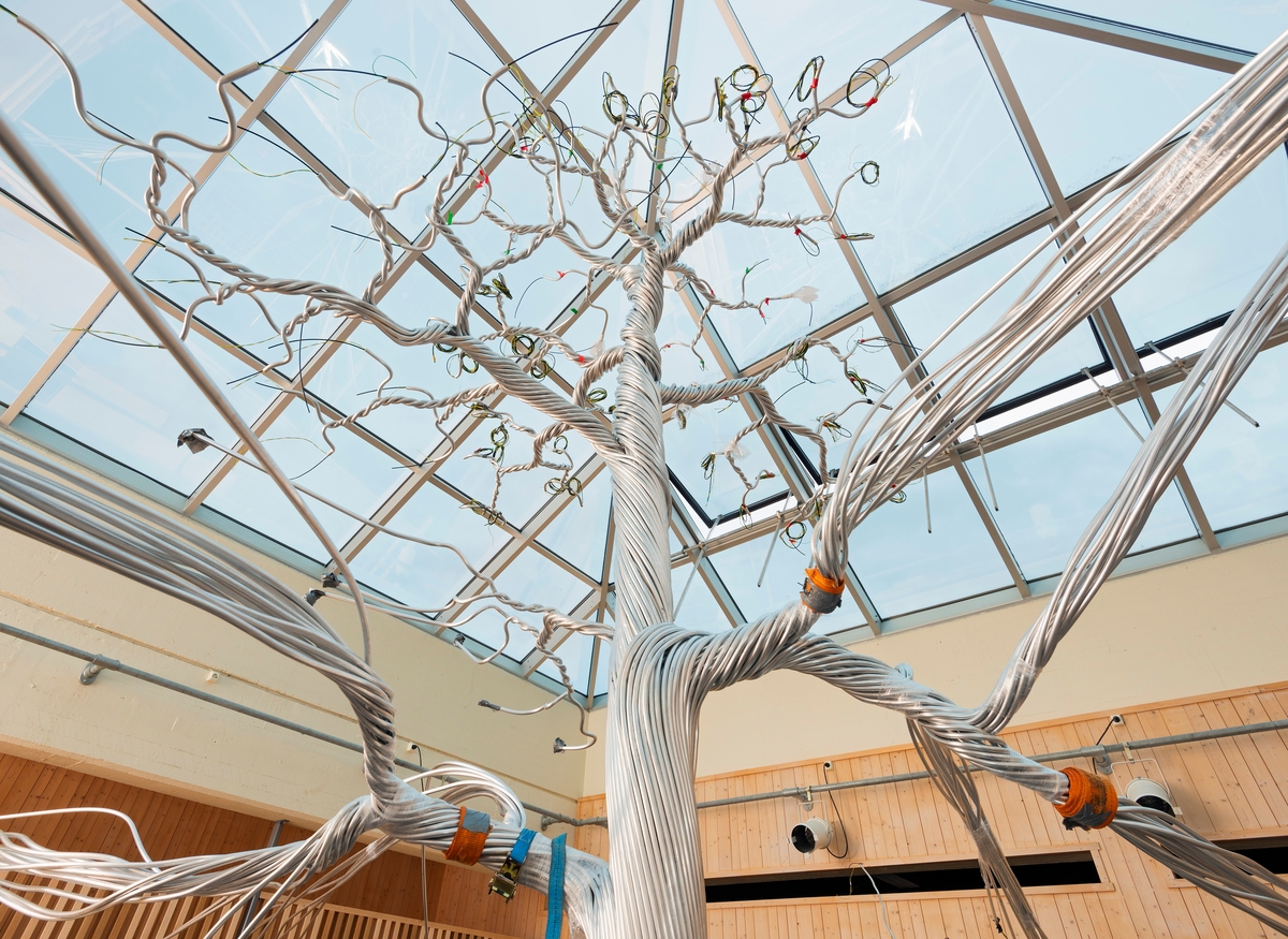Fra arbeidet med utstillingsprosjektet «Det fantastiske treet» ved Norsk Skogmuseum våren 2015.  Her bygges en ny utstilling, som blant annet skal formidle fotosyntesen og den kompenserende funksjonen trærnes fotosyntese har ved å bremse de negative effektene moderne samfunns intensive bruk av fossil energi har på klimaet.  En 7,5 meter høy modell av et tre - bygd på en stålkjerne, men med påviklete fiberoptiske kabler og «hukommelsesmetall» i vitale elementer - blir den sentrale hovedattraksjonen i utstillingen.   Her ser vi toppen av treet, fotografert fra stillaset som ble brukt under monteringsarbeidet.  Blomster av det nevnte hukommelsesmetallet ble montert i endene av fiberoptiske kabler i denne delen av treet etter at dette fotografiet ble tatt.  Arbeidet med treet ble påbygnt 20. april 2015 og tok bortimot to måneder.