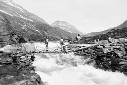 Fire elverumsjenter på fottur i Jotunheimen sommeren 1943.  