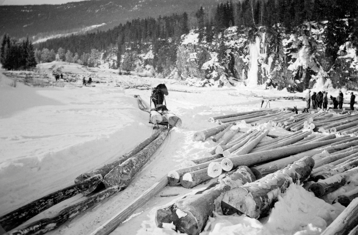 Hankekjøring fra Bergsvelta, antakelig i Hunderskogen i Øyer i Oppland, vinteren 1938.  Til høyre i bildet ser vi ei velte med rettvokst, barket tømmer, og i et oppkjørt vegfar i snøen ved siden av sto det en dølahest som var forspent et drag der det var etterhengt tømmerstokker, som skulle trekkes på snøen til en høvelig velteplass ved fløtingsvassdrag, der det skulle legges opp i påvente av våren og fløtingssesongen.  Skogene i Øyer var blant øvringsområdene til skogbrukselevene ved Oppland landbruksskole på Stor-Hove (Storhove) i nabokommunen Fåberg.  Sannsynligvis er det ei elevgruppe fra denne skolen vi skimter ved tømmervelta, lengst til høyre i bildet.
