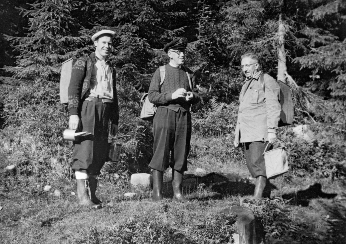 Tre menn fotografert under bærtur i skogen i den delen av Eidsvoll kommune som kalles Gullverket.  Mennene er fra venstre Rolf Klemmetsby (1917-1997), Christian Klemmetsby (1887-1966) og Knut Øsmundset (1891-1977).  Sistnevnte bodde på Eidsvoll og var lokalkjent.  Rolf Klemmetsby var Øsmundsets svigersønn, og Christian Klemmetsby var Rolfs far.  Klemmetsby-karene bodde i Tønsberg.  Da dette bildet ble tatt var de tre mennene utstyrt for sanking av skogsbær, sannsynligvis tyttebær.  Rolf og Knut bar spesiallagde bærkasser av tre på ryggen.  Knut hadde dessuten et seildukspann i den ene handa, mens Rolf hadde et lite blikkspann i den ene handa og en bærsanker i den andre.  Christian bar en ryggsekk.  Stein Rune Klemmetsby (sønn av Rolf og barnebarn av Christian og Knut) har gitt Norsk Skogmuseum ei bærkasse som morfaren (Knut Øsmundset) har lagd, muligens den han bar på ryggen da dette bildet ble tatt.  Motivet antas å være fra perioden 1950-52.