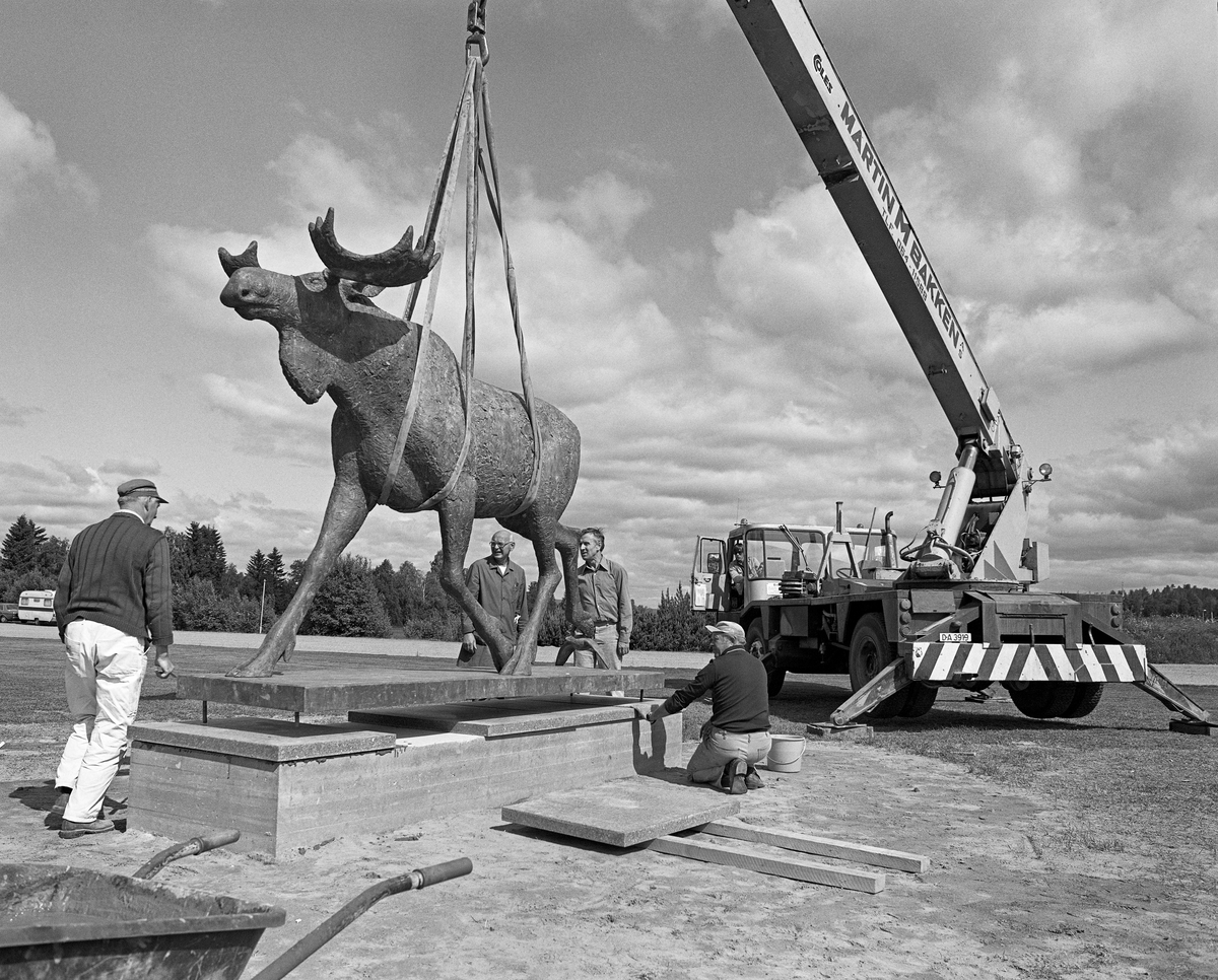 Plassering av en elgskulptur på plenen ved innkjørselen til Norsk Skogbruksmuseum i Elverum fra Solørvegen (Riksveg 2).  Bildet ble tatt våren 1982.  Det var skulptøren Skule Waksvik (1927-2018) som hadde formet denne og tre andre elgfigurer i full størrelse som ble plassert ved museets hovedinnkjørsel som et blikkfang (se fanen «Opplysninger»).  Da dette bildet ble tatt hang den bronsestøpte elgoksen i stropper mens den ble senket forsiktig ned mot et rektangulært betongfundament fra en kraftig kranbil fra entreprenørselskapet Martin M. Bakken.  Kunstneren sjøl, vaktmester Håkon Sæle (1926-1999) sto i samtale bak elgoksen, mens to karer fra entreprenørselskapet var opptatt av å få kunstverket presist ned på fundamentet.