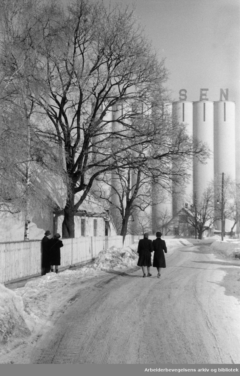 Bjølsen Valsemølle (og Nedre Foss). Bjølsen Valsemølle,.kornsiloen. Februar 1948