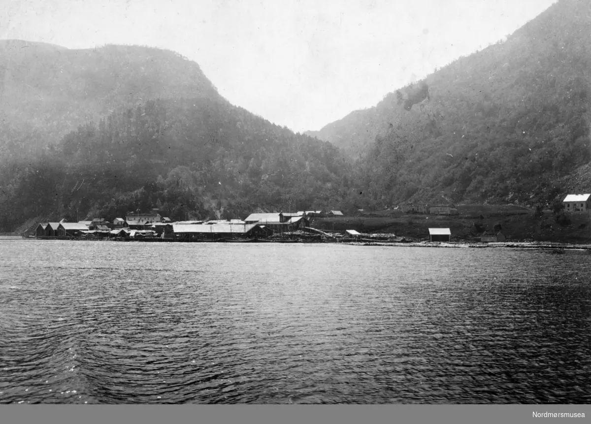 Foto trolig fra Enge Bruk i Valsøyfjord i Halsa kommune. Samling fotografier fra Enge Bruk i Valsøyfjord i Halsa kommune. Eier av originalmaterialet er Kolbjørn Botten. Fra Nordmøre museums fotosamlinger.