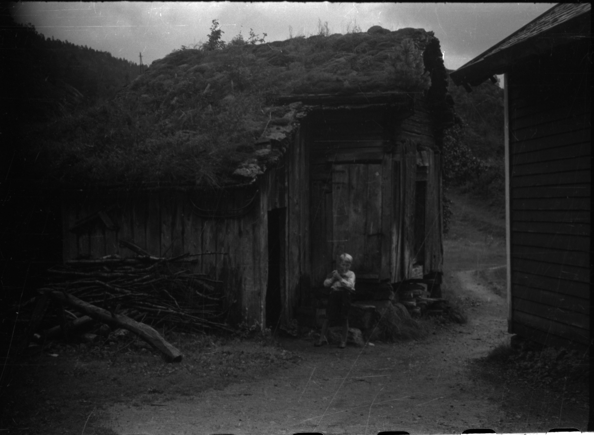Frida Johannessen sammen med Liva Veka og sønnen, Lars Veka. Lars holder ei kattunge. De står på et tun med eldre hus på Veka i Suldal.