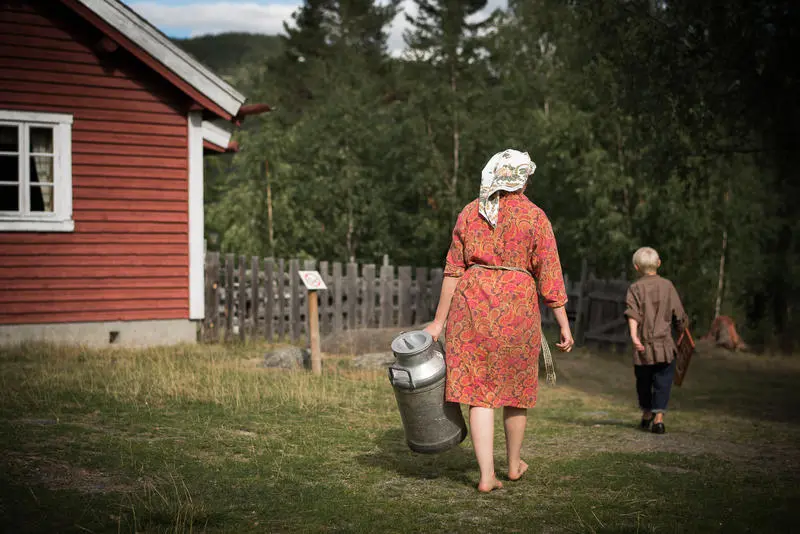 Budeie på stølen