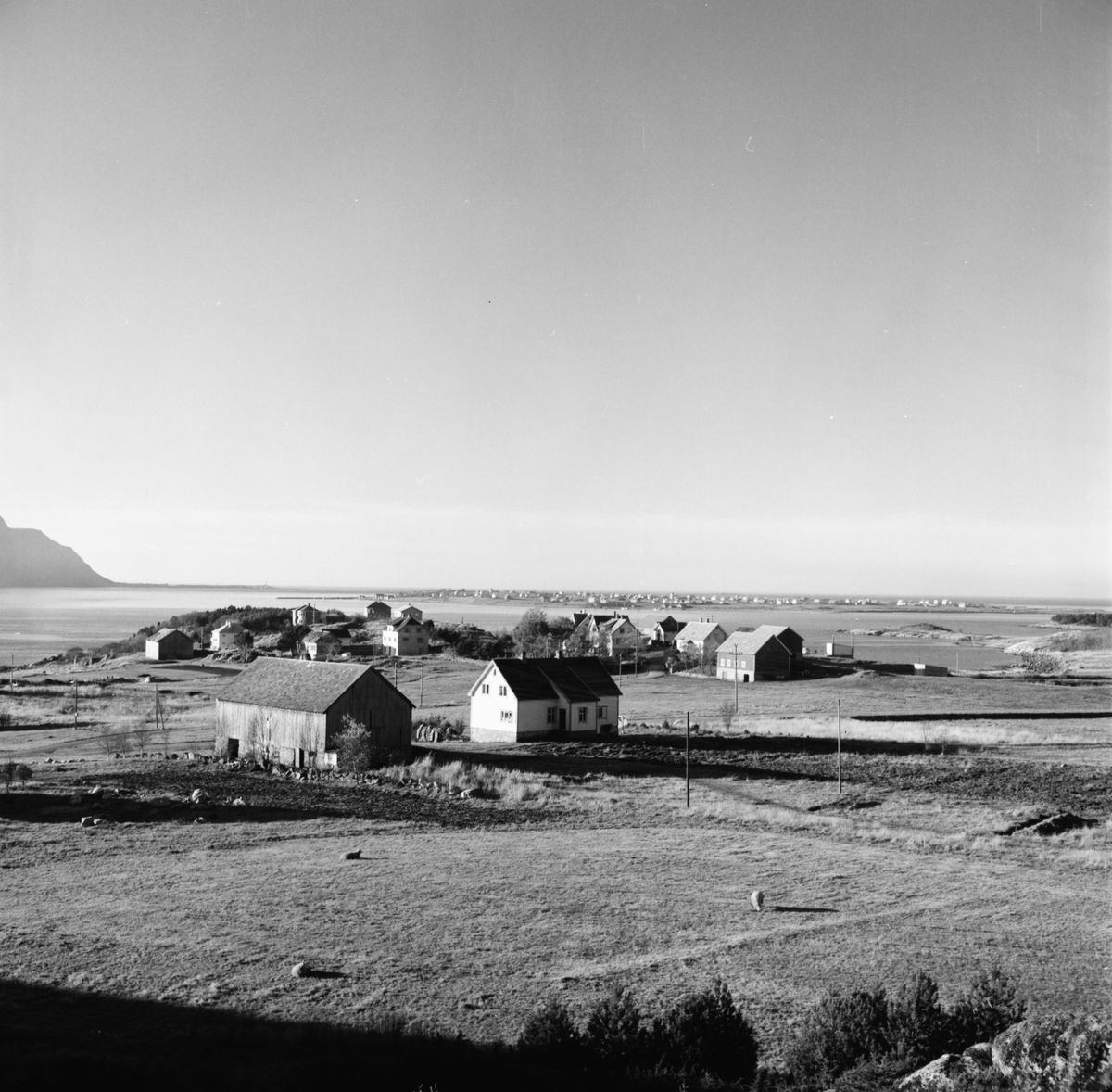 Prospektfotografi og oversiktsbilder av "Jakob-garen" på Skjong, Valderøy med flere gårdsbruk i bakgrunnen. Øya Giske viser i bakgrunnen.