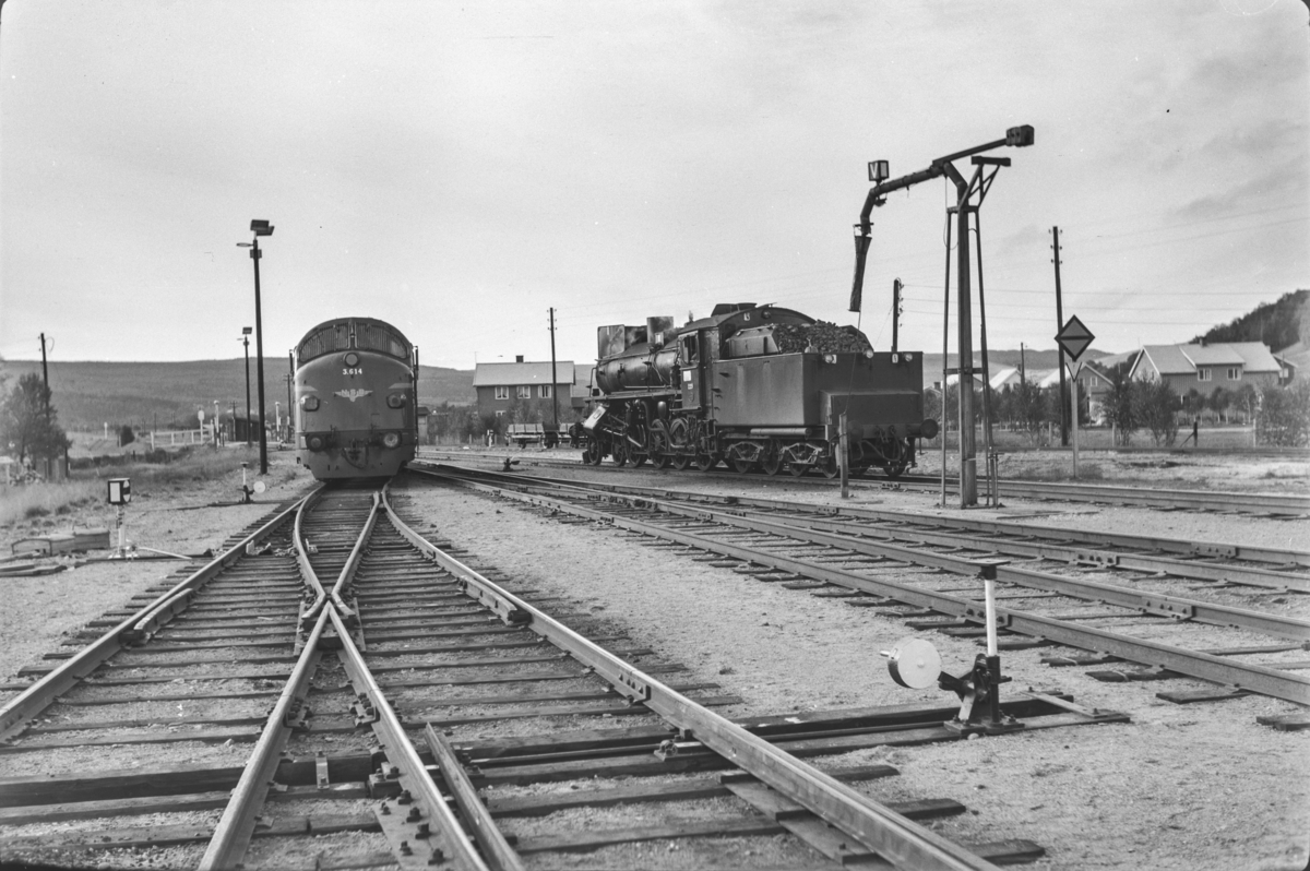Vannfylling på damplokomotiv type 26b nr. 229 på Røros stasjon. Til venstre diesellokomotiv type Di 3 nr. 614.