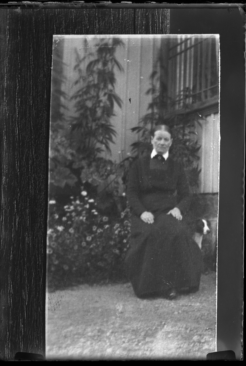 Reprofotografi av bild på en svartklädd kvinna som sitter utanför ett hus. Bakom henne syns en hund och en blomsterrabatt.