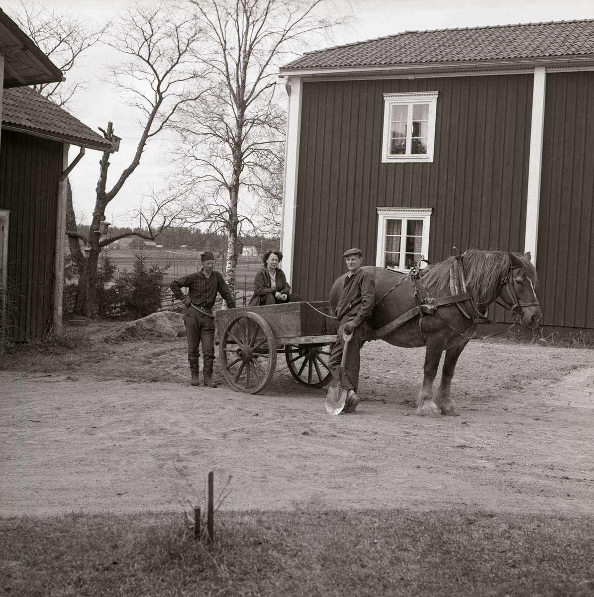 En kvinna sitter i en kärra dragen av en häst vid gården Sunnanåker. Två män står bakom och bredvid kärran.
