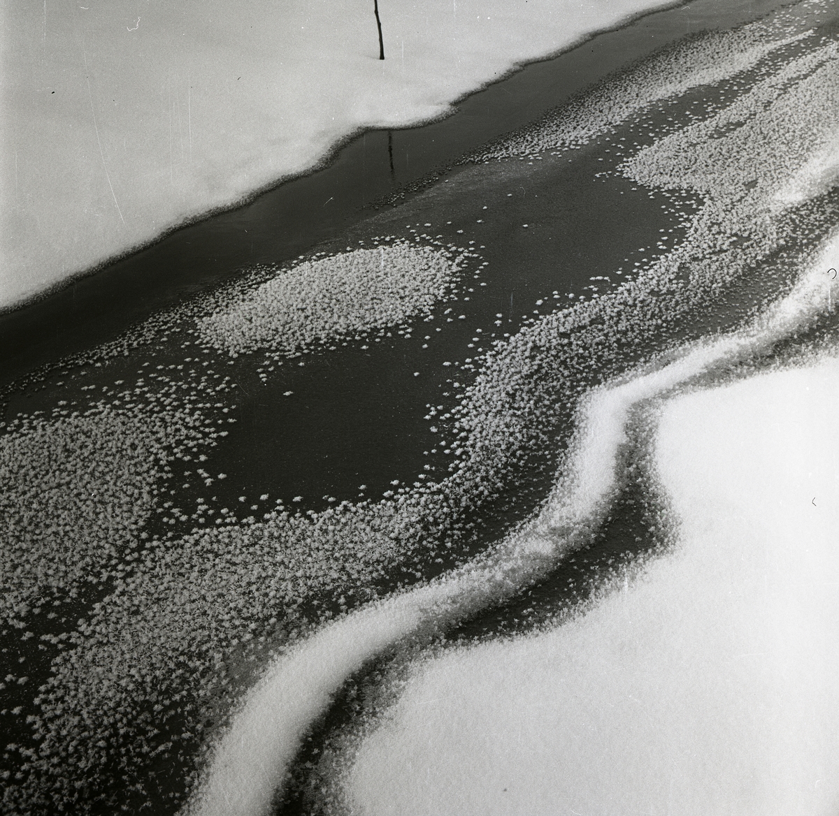 Snön bildar vågiga och cirkulära former på isen, december 1960.