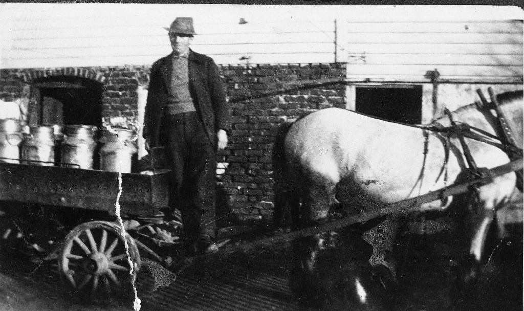 Nikolai Steinsland (1884 - 1977) med hest og kjerre på veg til Jæren Meieri med mjølk. Fire naboar delte på kjøringa og hadde kvar sine dagar.