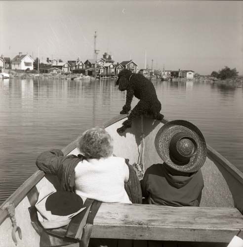 Två kvinnor sitter i fören på en båt och framför dem har en hund klättrat upp mot kanten, 1969.