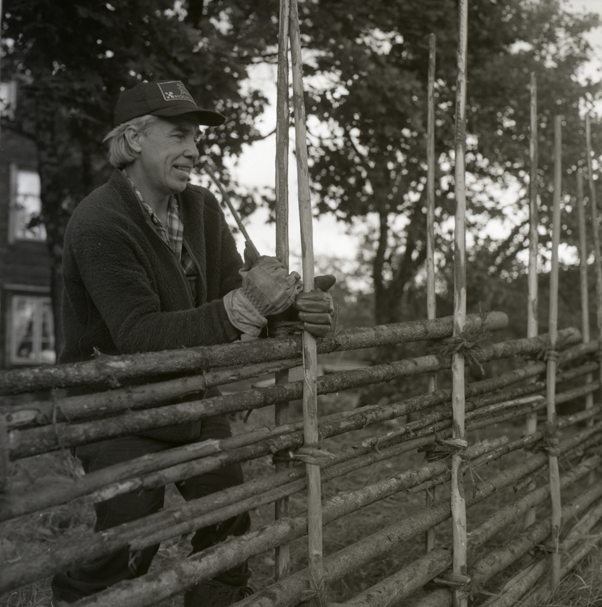 En man bygger en gärdesgård, 1986.