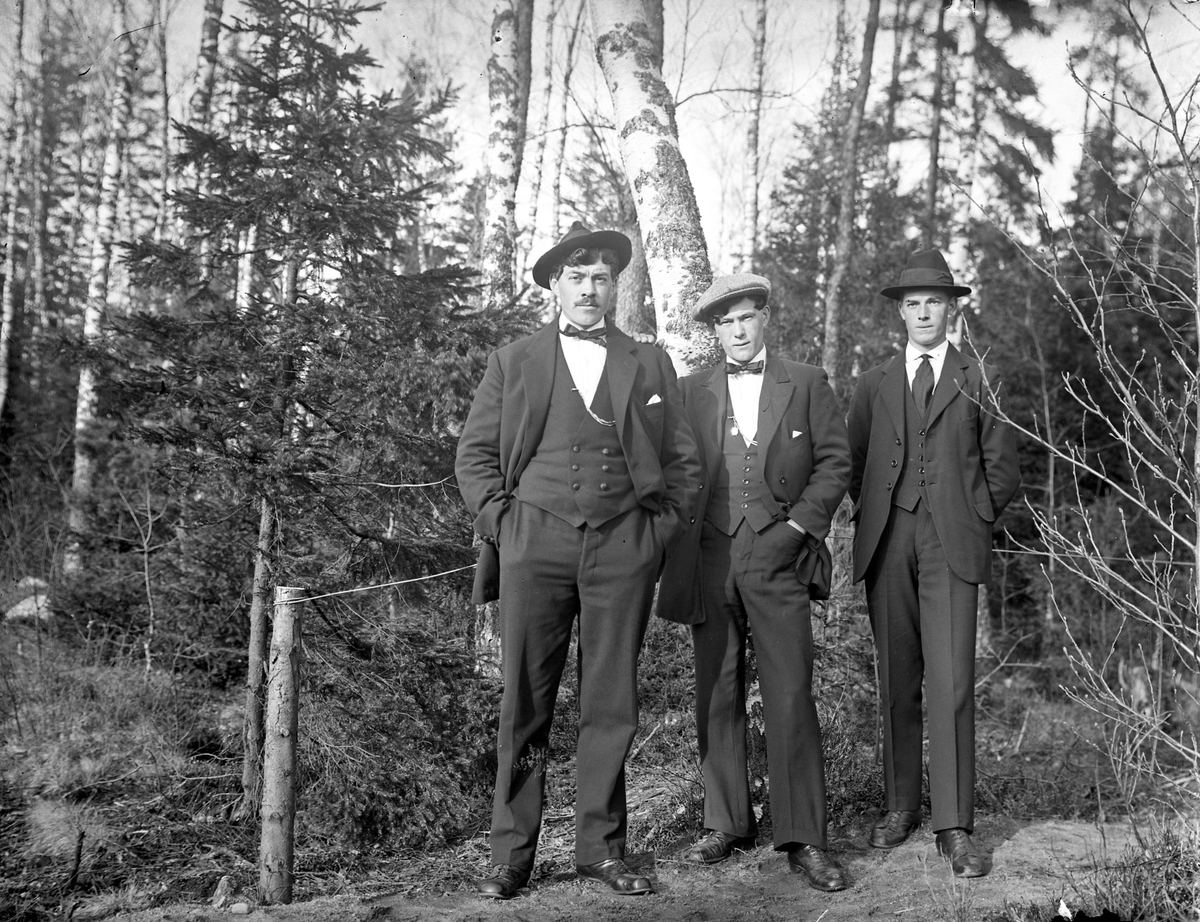Hjalmar Lindberg, Erik Lindberg och Einar Åsén var lantarbetare (statare) på Österbodarne. Hjalmar och Erik var bröder och Einar Åsén var bror till Fritz Åsén.