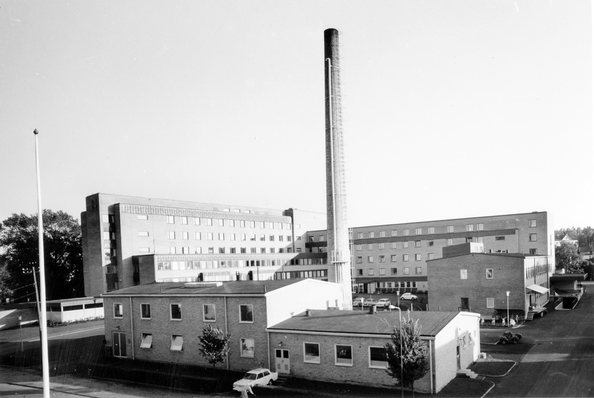 Bilden visar Alingsås lasarettets olika byggnader med en lång skorsten i mitten.