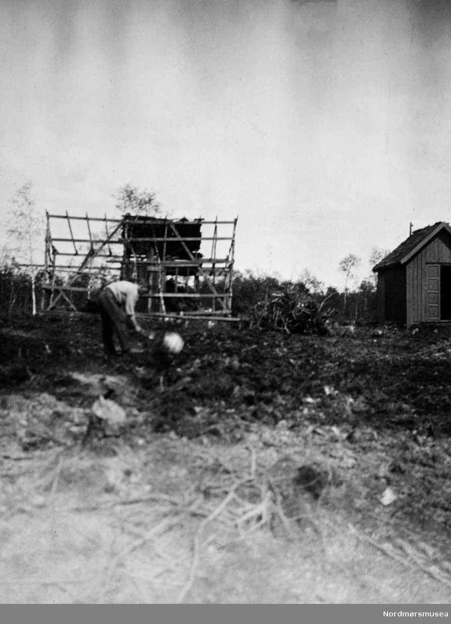 Jordbruksarbeid. Et bilde fra en samling fotografier med nybrott- og bureisingsfelt i Norge. Originalmaterialet tilhører Norsk myrmuseum i Smøla kommune. Fra Nordmøre museums fotosamlinger.