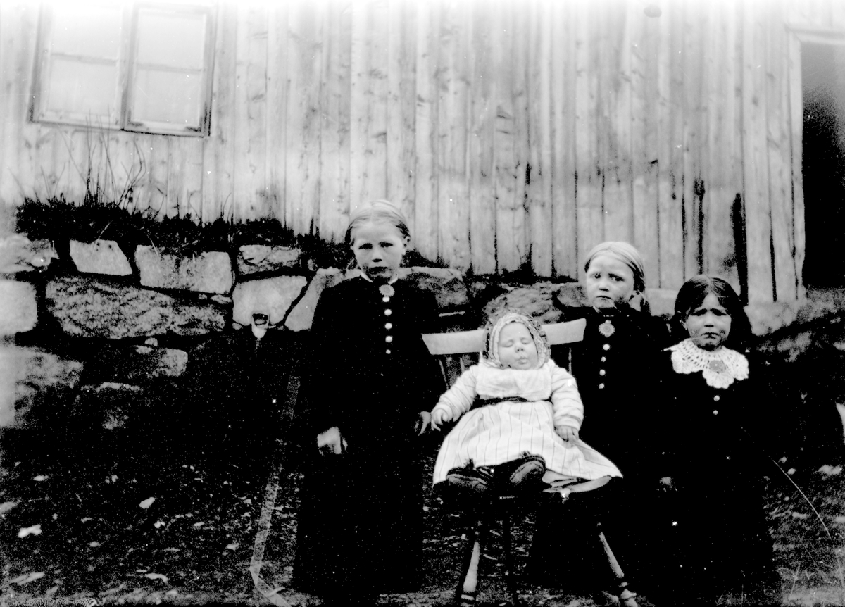 Fotoarkiv etter Aanund Olavson Edland. Utendørsportrett av Ingeborg, Katrine (Tina), Sigrid og Knut Nordigard Haukeli.