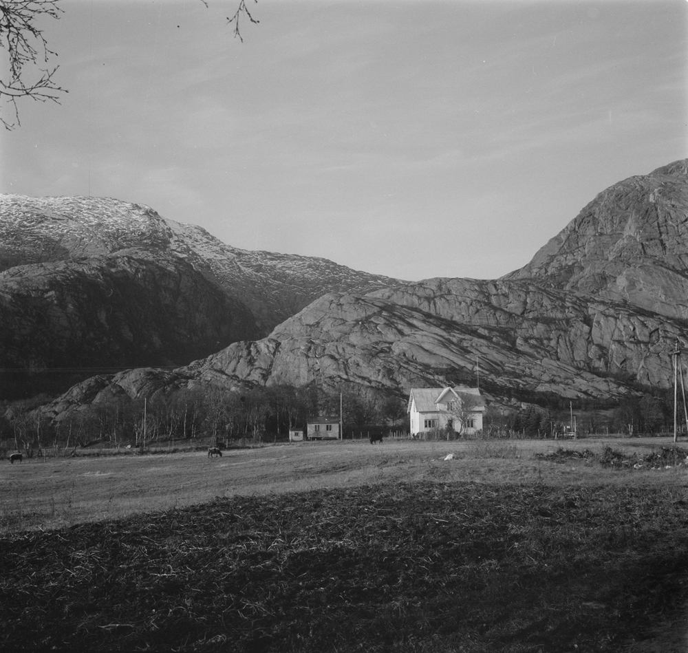 Bebyggelse Kvalnesodden, Sundøya. 
I bakgrunnen Horva.