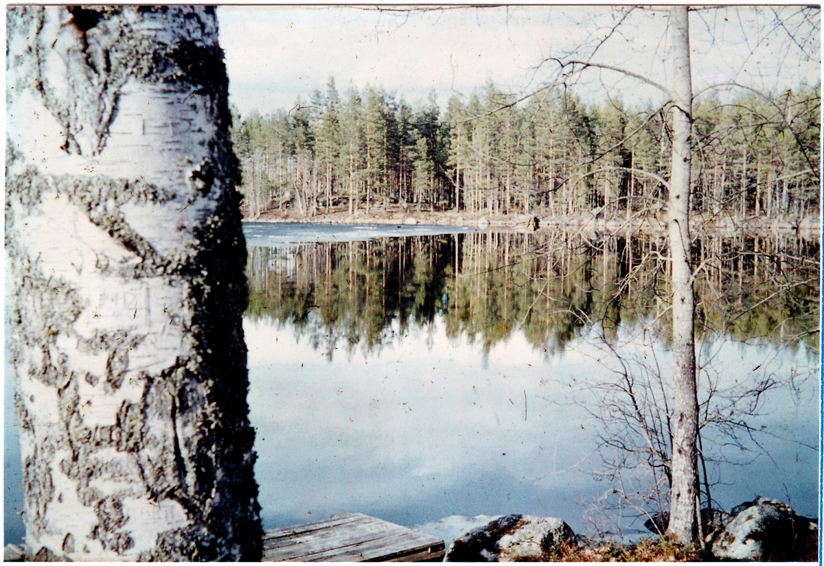 Sjön Häglingen utmed linjen mellan Korsån och Born.
