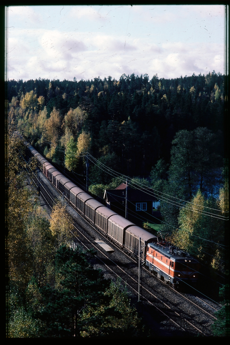 Statens Järnvägar, SJ Rc-lok med godståg ute på linjen.