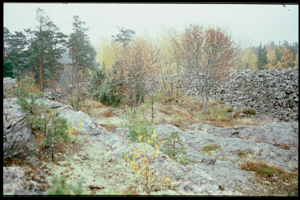 Rester av fornborg vid Sörfjärden i närheten av Härad.