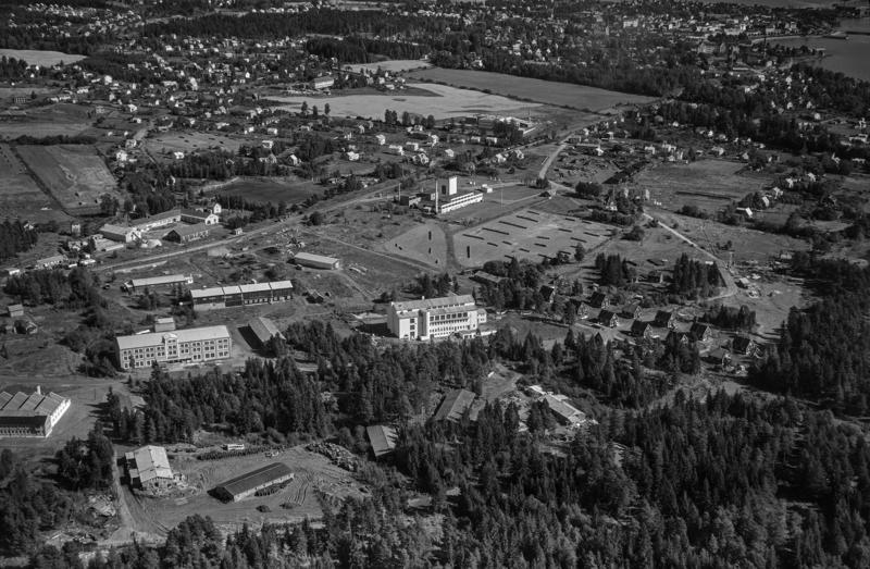 Flyfoto tatt i 1953 som viser en oversikt over Storhamar og Martodden