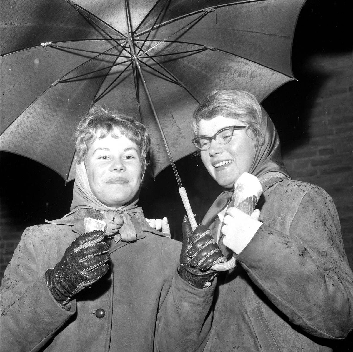 Glass i regnväder.
22 oktober 1958.