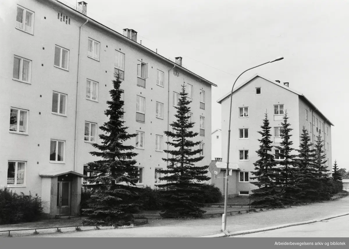 Etterstad Nord. August 1978
