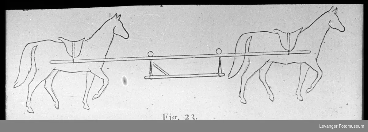 Båre, for hestetransport, tegning fra medisinsk håndbok.