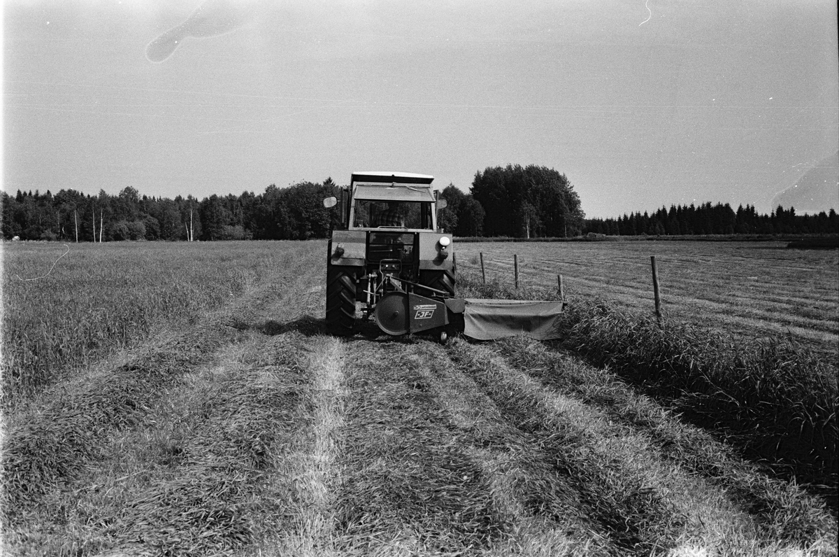 Lantbrukare Bertil Widblad slår hö med en rotorslåttermaskin, Mossbo, Tierps socken, Uppland juni 1981