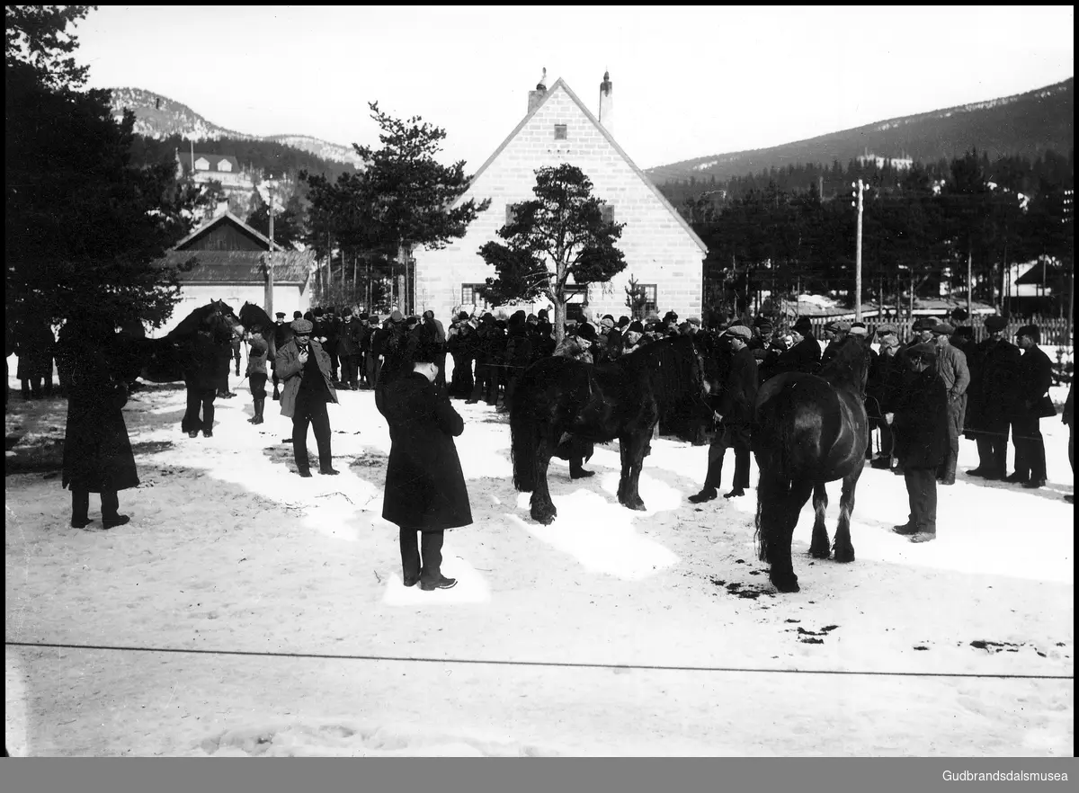 Unghestskue på kommuneplassen i Ringebu 1924