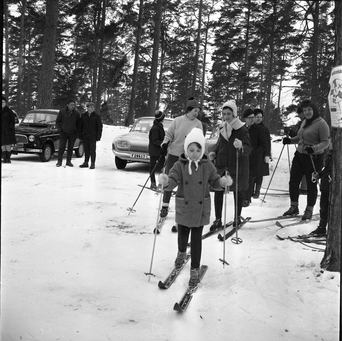 Barn och vuxna på skidor. I bakgrunden parkerade bilar. Bilden är troligen från parkeringen på Grännaberget.