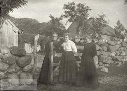 Tre kvinner ved port og steingjerde