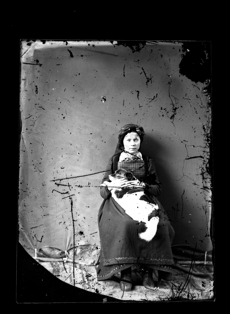 Fotosamling etter fotograf Knut Aslaksen Berdal. f. 1829 Einlaugdalen Vinje, d. 21.01.1895. Portrett av ung kvinne med hund på fanget.