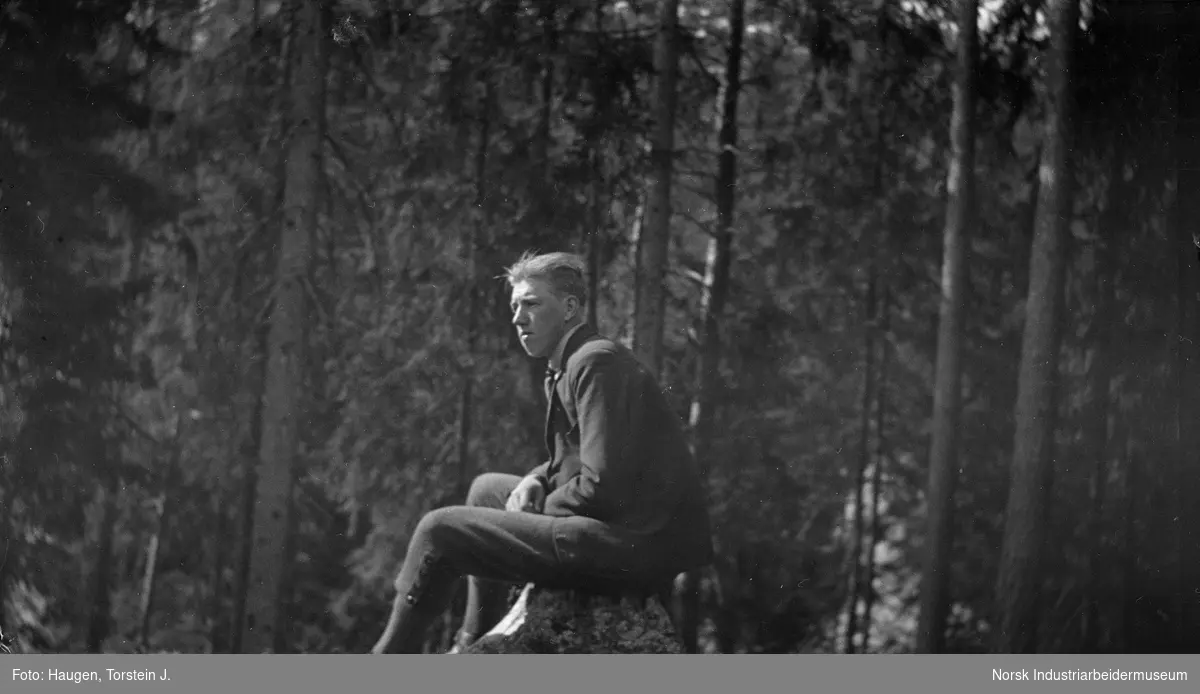 Portrett, Torstein J. Haugen, sittende på stubbe i skogen.