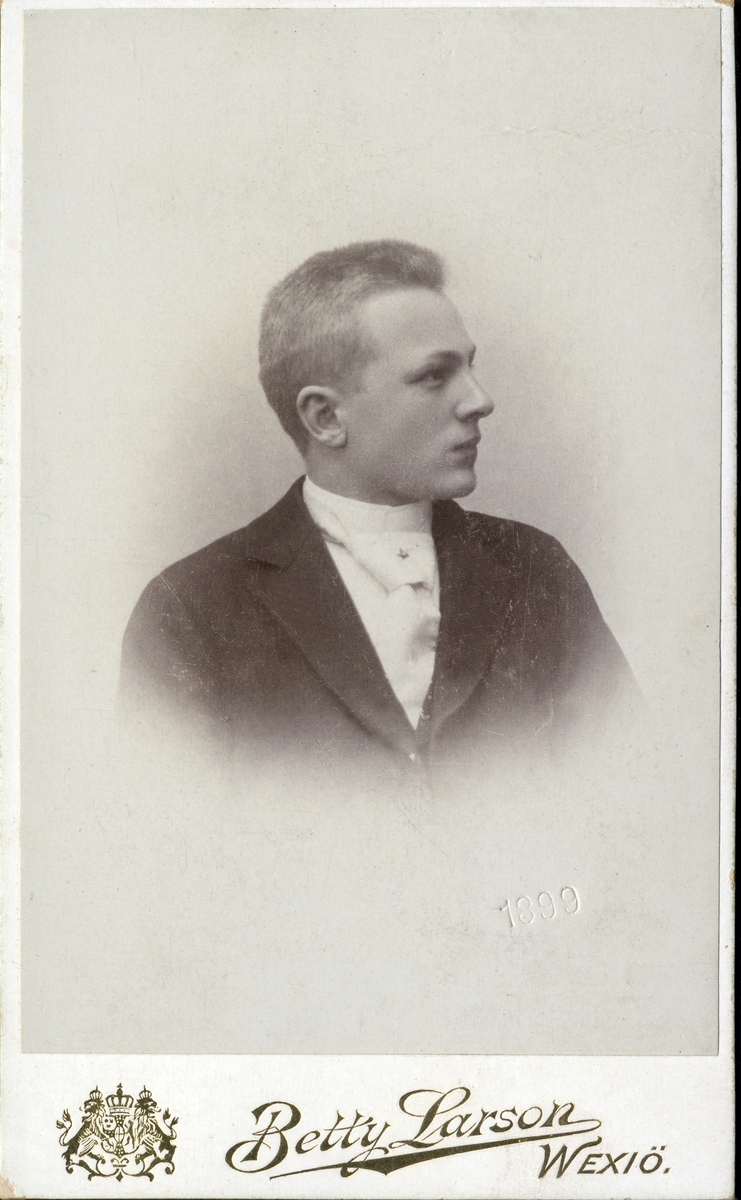 Porträttfoto av en okänd ung man i kostym med stärkkrage och ljus bred slips med kråsnål.
Bröstbild, profil. Ateljéfoto.