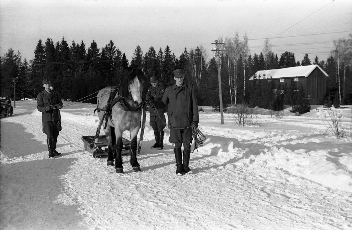 Fra Hærens Hesteskole på Starum senhøstes 1957. Militært personell og en hest med en type slede.